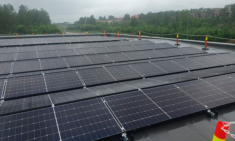 Mørke solcellepaneler på vått tak med røde og gule sikkerhetsstolper, grønn skog og grå himmel.