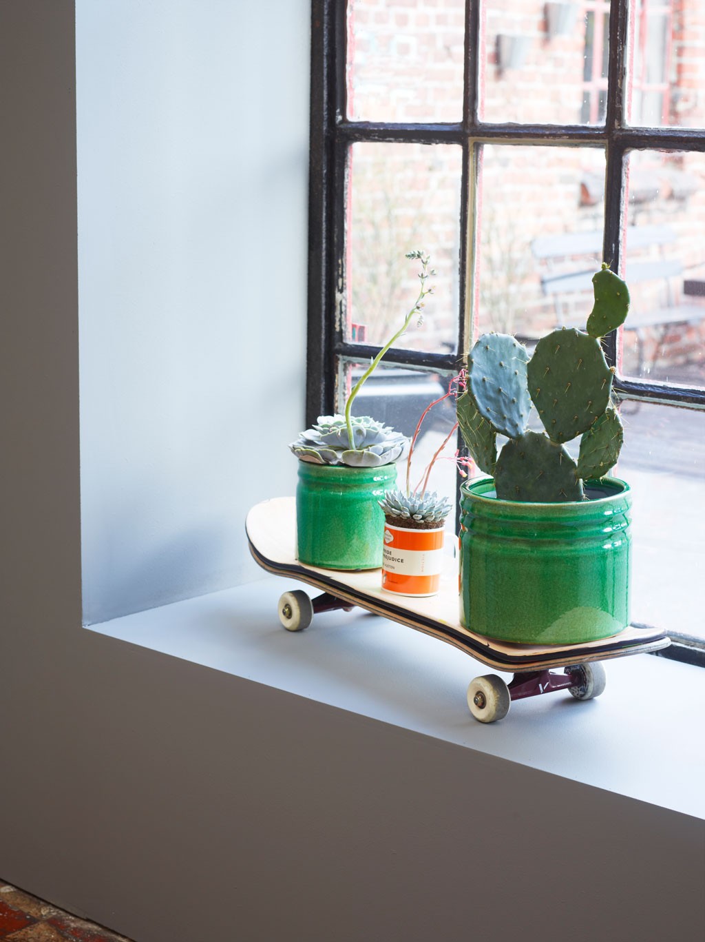 Skateboard på hvit vinduskarm med kaktus og sukkulenter i grønne potter og oransje boks