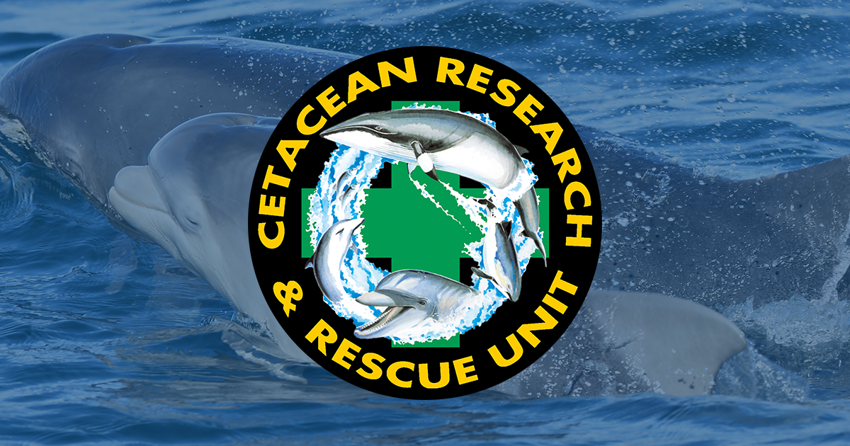 Cetacean Research & Rescue Unit