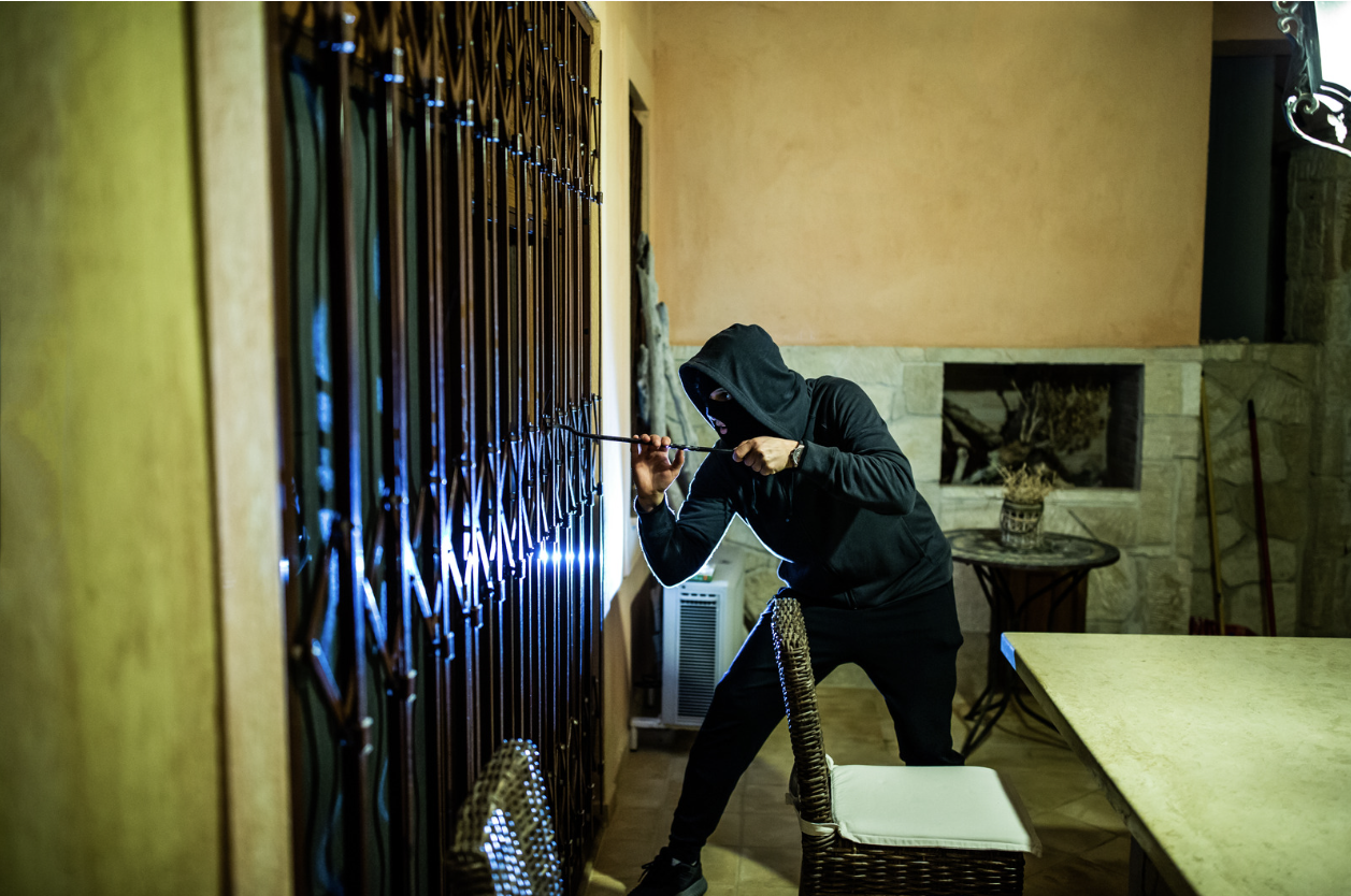 【最新版】私有地への不法侵入対策ガイド｜被害を未然に防ぐクラウド型AIカメラ活用術