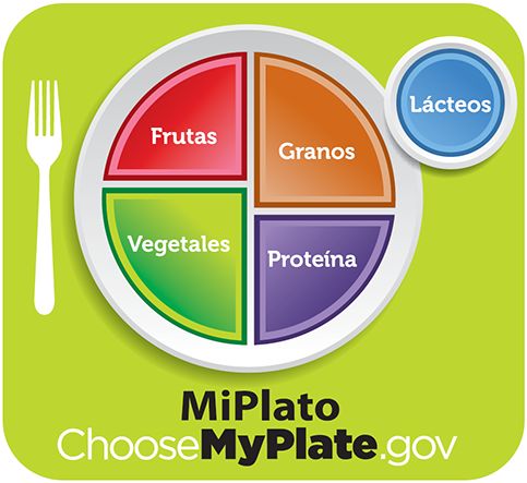 Choose my plate - fruit, vegetables, grains, protein, dairy