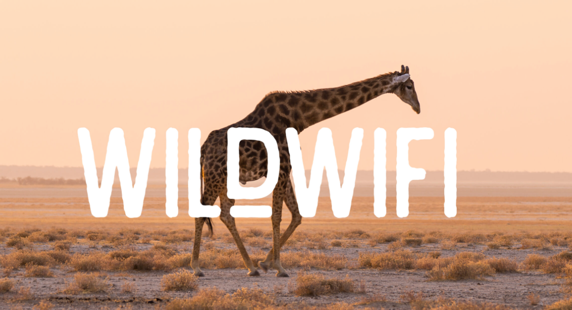 Screenshot 2023-11-05 at 8.34.19 PM