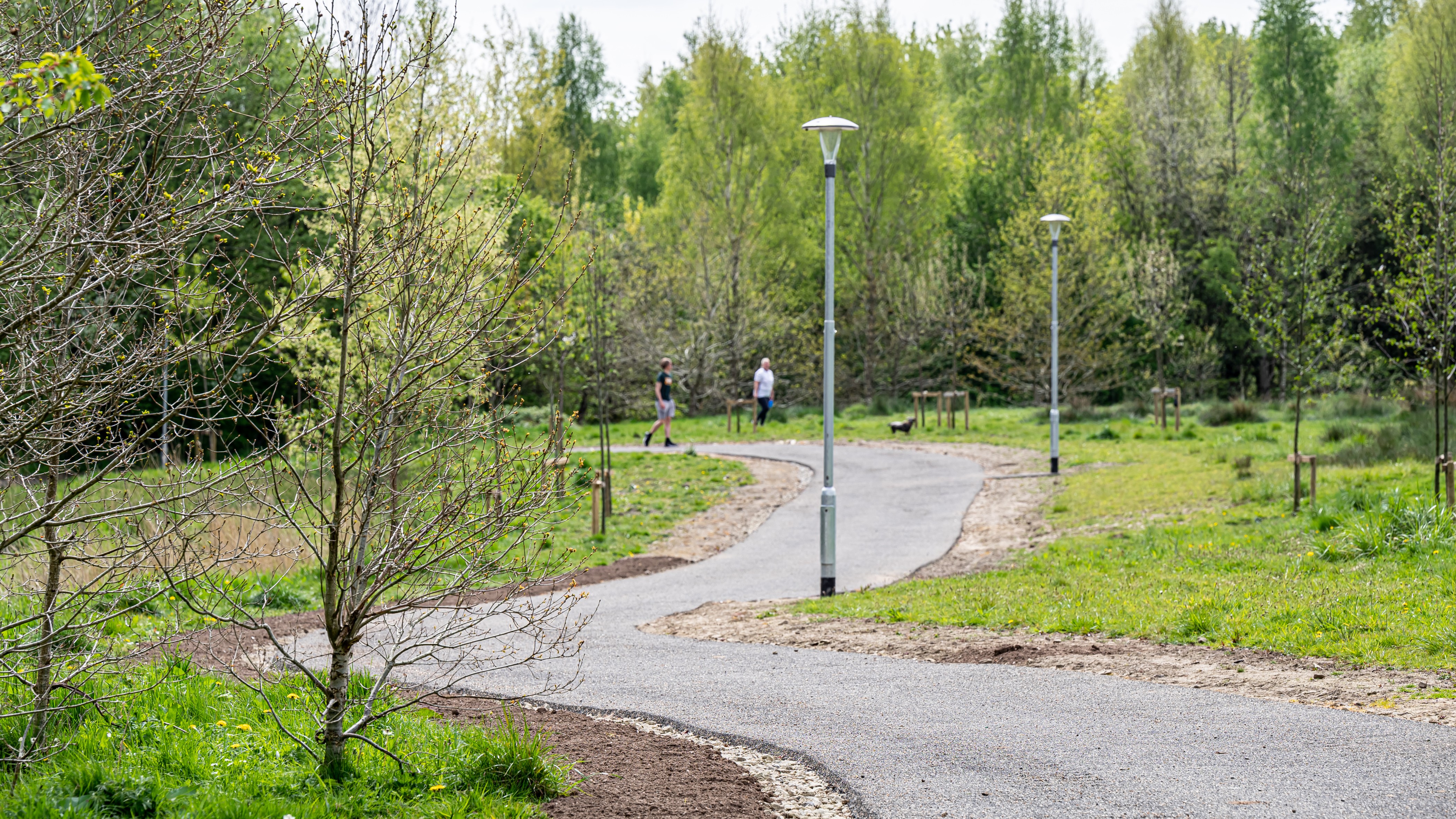 A path in Swinton Greenway near Eccles Road