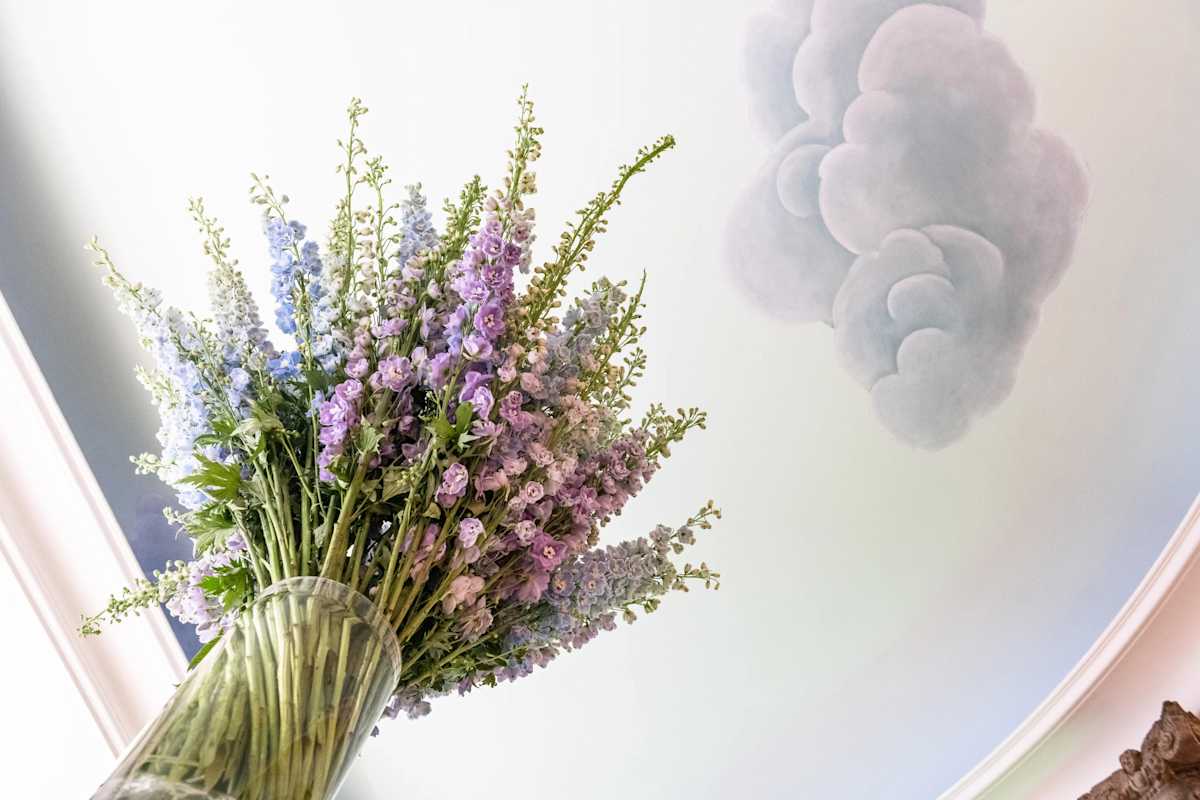 Dynamic Shipping Options & Costs Integration