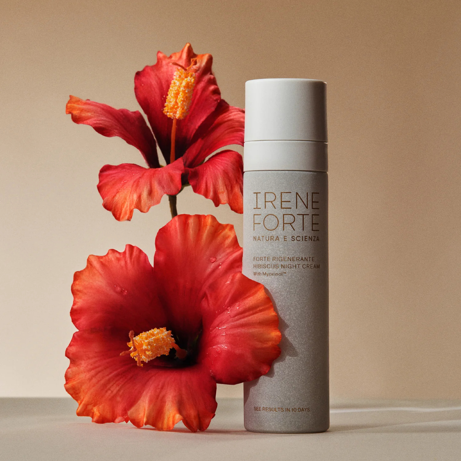 Hibiscus Promotional Campaign