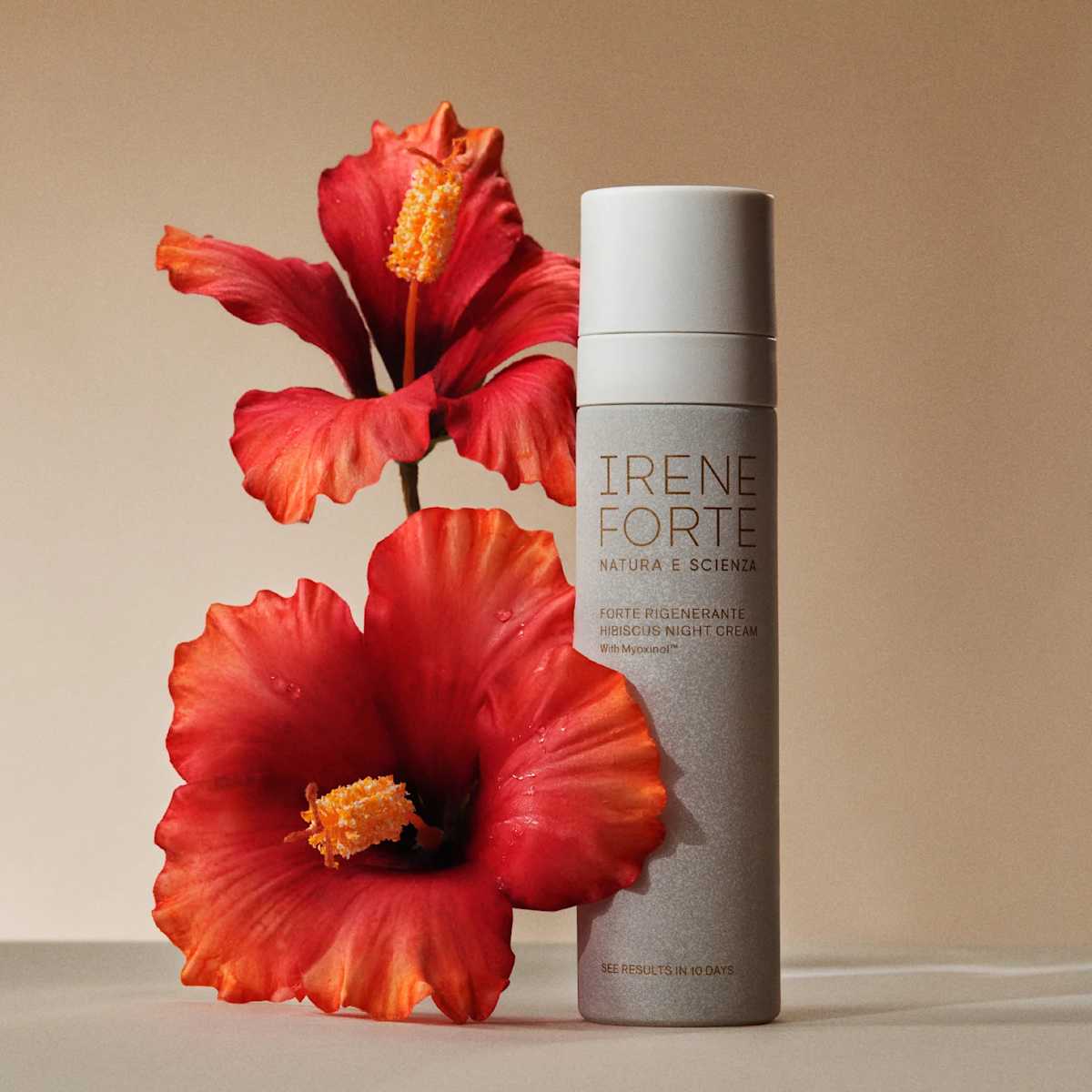 Hibiscus Promotional Campaign