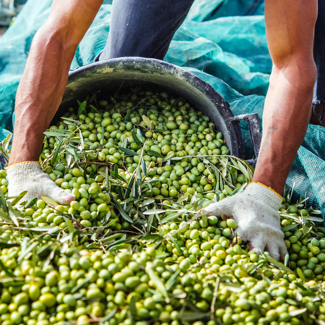 Internationalization