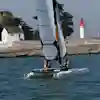 New Cat 13.5