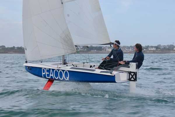 Peacoq 14 used