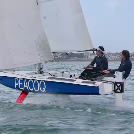 Peacoq 14