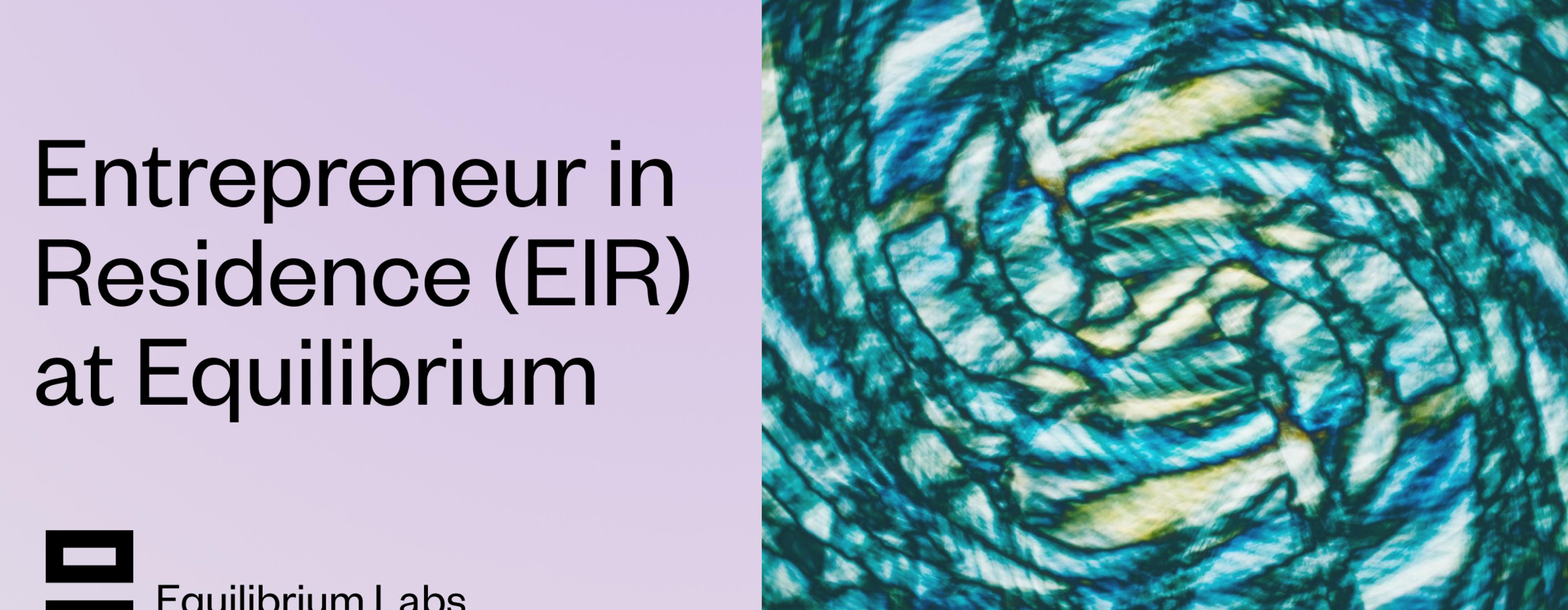EIR cover image