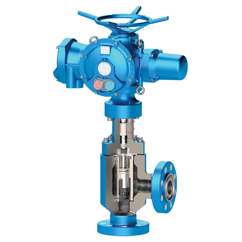 100DWI Multi-stage Water Injection Choke Valve
