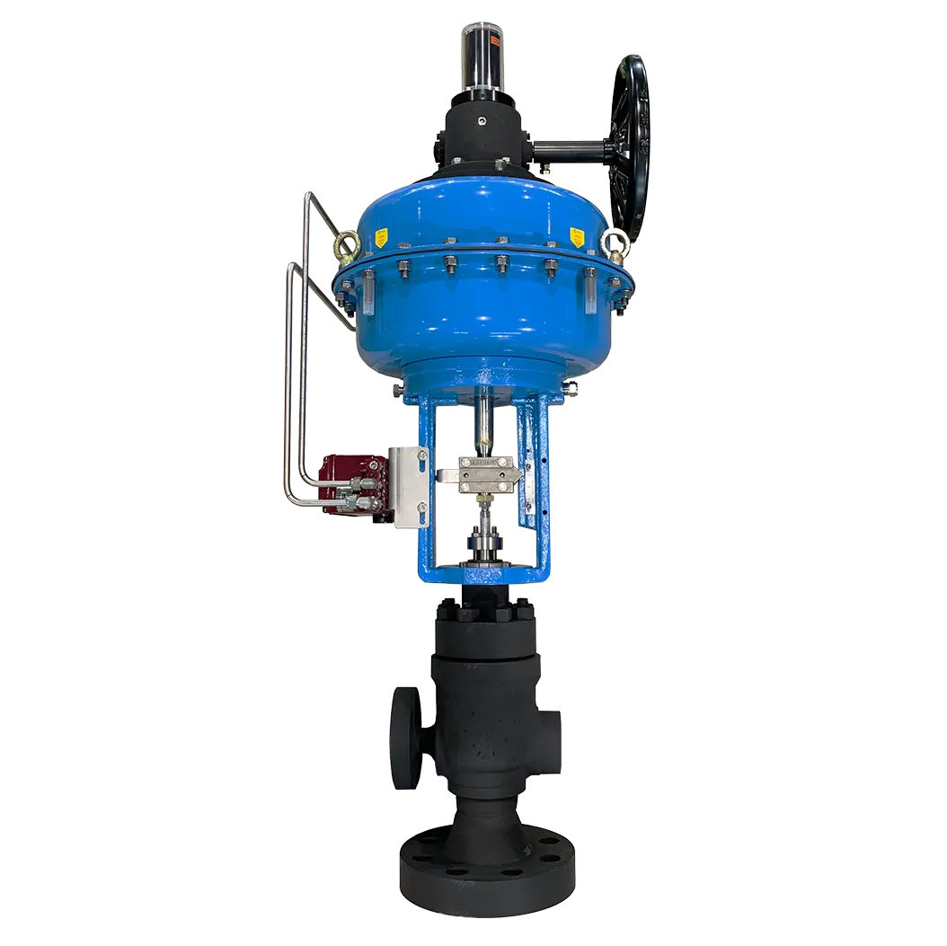 860 Series Cage/Top Guided General Purpose Control Valve
