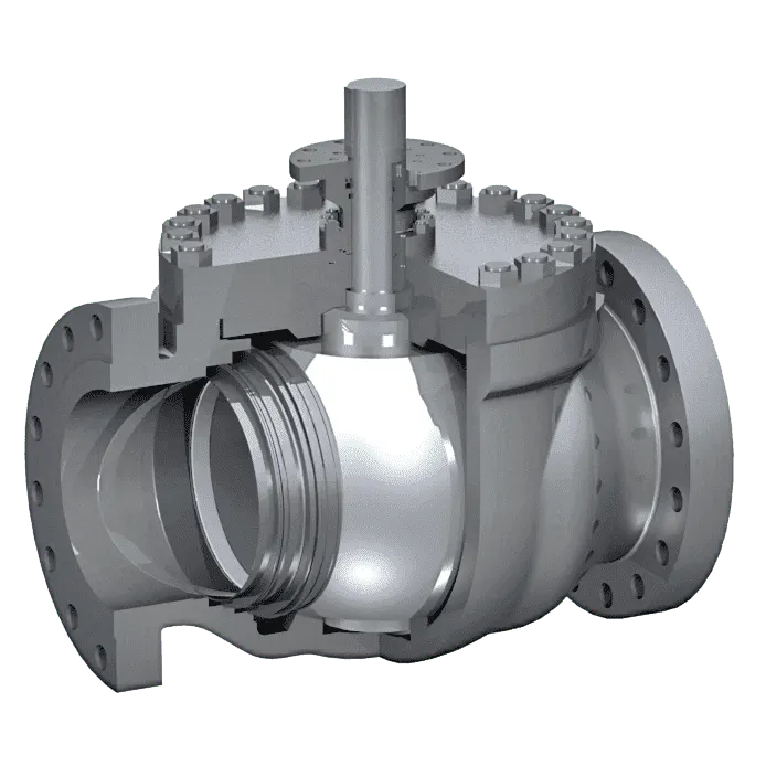 Trunnion-mounted Top Entry Ball Valves