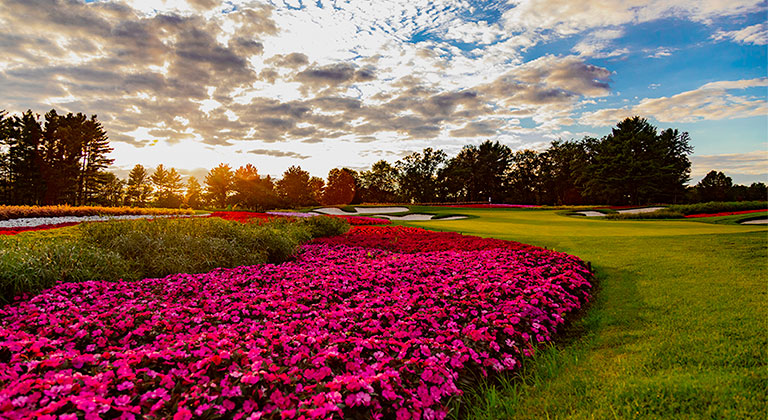 SentryWorld Golf Course Flower hole at sunset