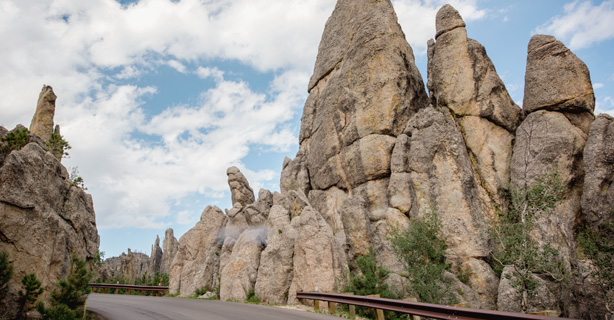 Needles Highway view