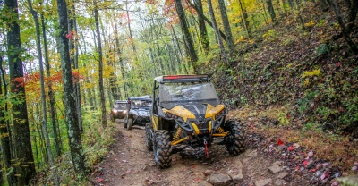 Line of UTVs in a forest