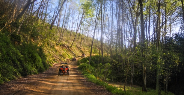 Row of ATVs riding a forest trail