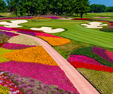 hero-re-engagement-365x303 Flowers and sand traps around the 16th hole on the SentryWorld golf course