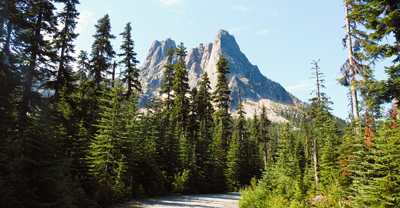 Cascade Mountain in forest