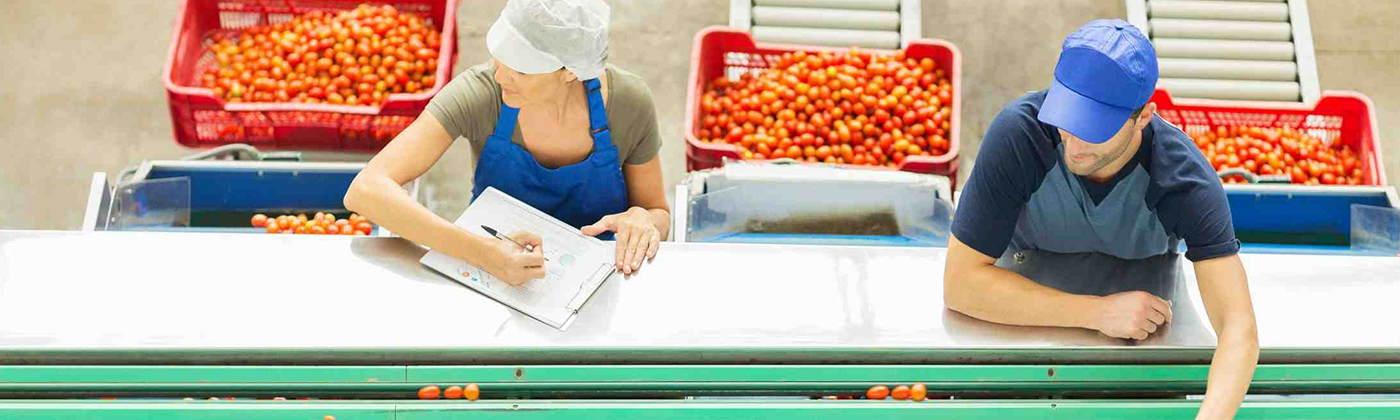 Two coworkers working on food assembly line.