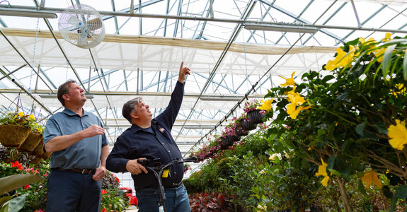 Timbuk Farms and Hortica representatives walking through a greenhouse