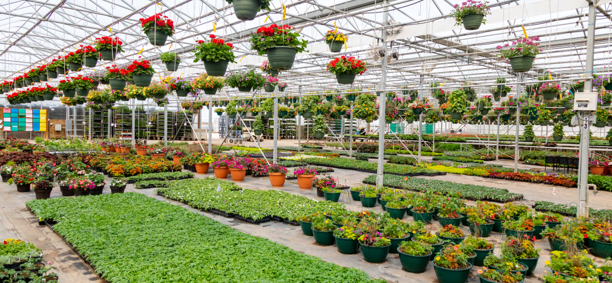 carousel-heath-farms-3-1200x556 Heath Farms greenhouse.