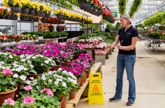 Hortica worker in greenhouse with flowers conducting safety check