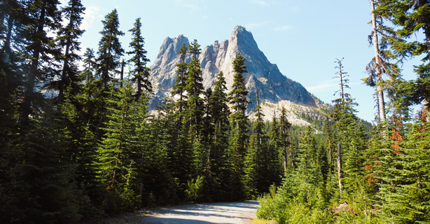 Cascade Mountain in forest