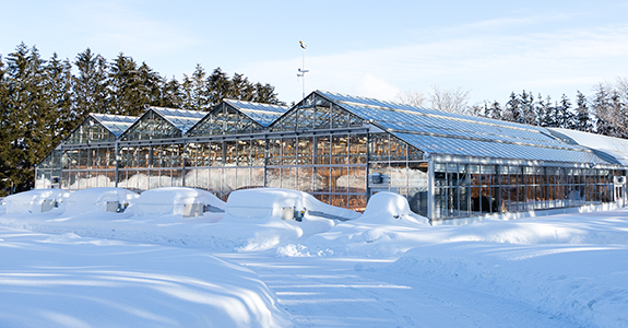 Greenhouse covered in snow in the winter