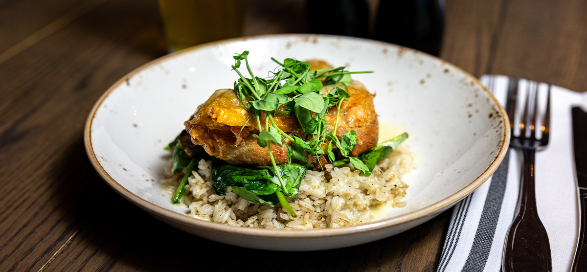 Braised Chicken from the menu plated at PJ's - SentryWorld