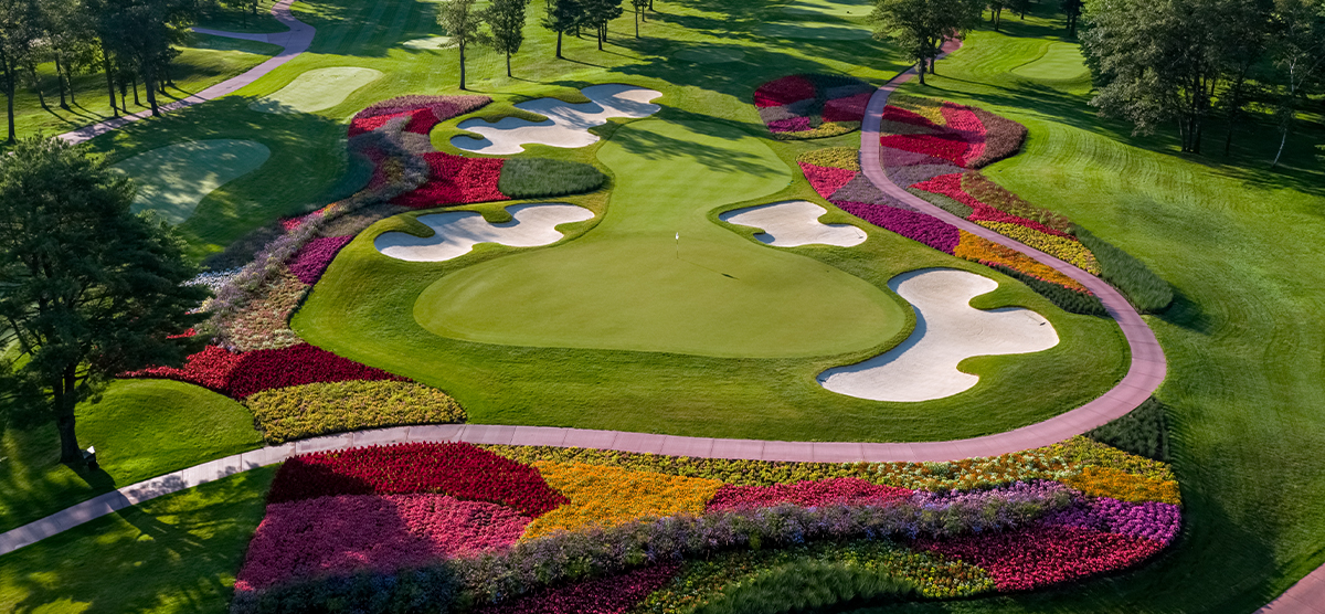 Sixteenth hole putting green and flower hazard at the SentryWorld golf course