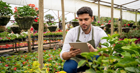 man kneeling in greenhouse with tablet