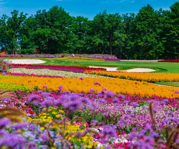 Flowers and sand traps around the 16th hole putting green at SentryWorld