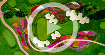 Aerial view of the flower hole on the SentryWorld golf course and a video play icon overtop