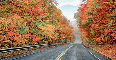 Autumn view of a scenic highway