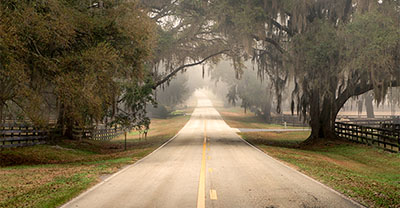 Country road featuring trees overhanging with Spanish moss.