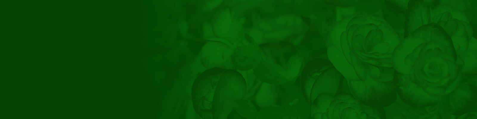 green overlay on flowers