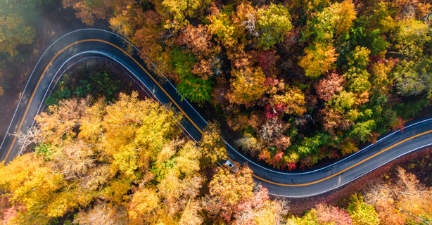 Aerial of road in fall forest