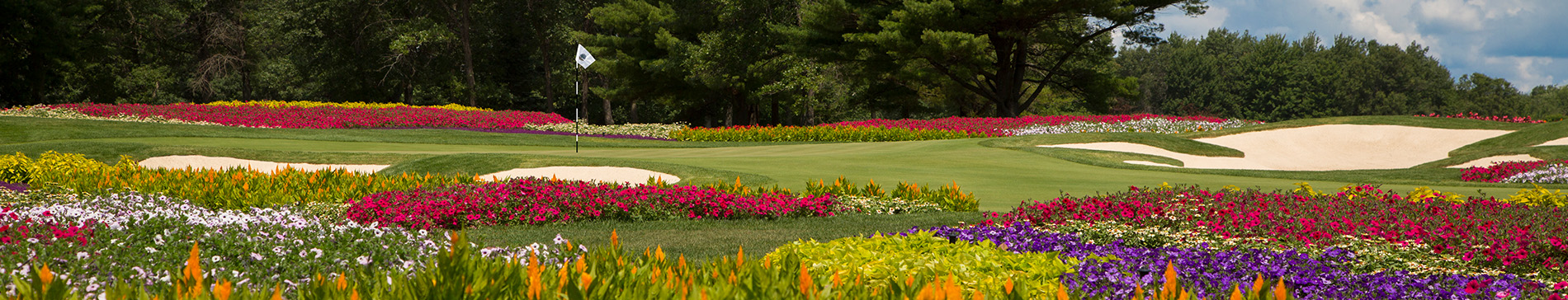 Hole 16 at SentryWorld, the flower hole. 