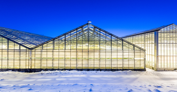 A functioning greenhouse in the winter