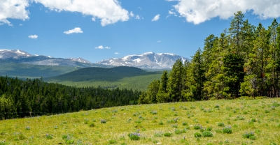 Meadow with mountains in distance
