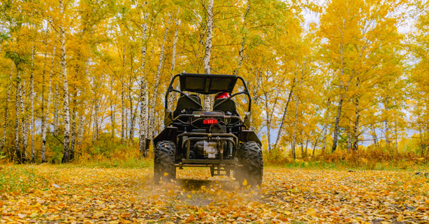 ATV in the fall