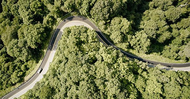 Aerial view of Back of Dragon road surrounded by green forest