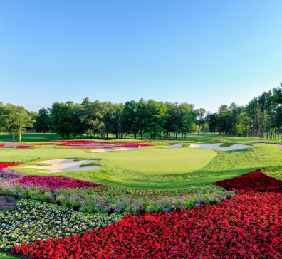hero-golf-top-100-396x364 Flower Hole at SentryWorld golf course.