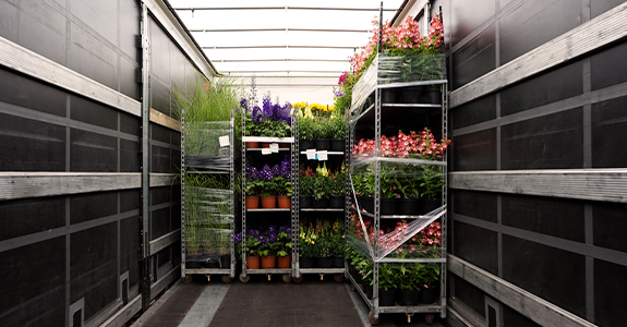 Industrial shelves of plants packed in a delivery truck