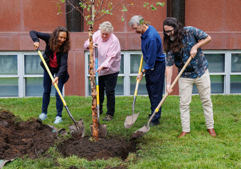 Volunteers Planting a Tree