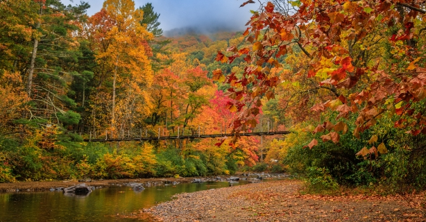 Bridge over Maury River