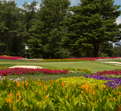 Hole 16 at SentryWorld, the flower hole. 