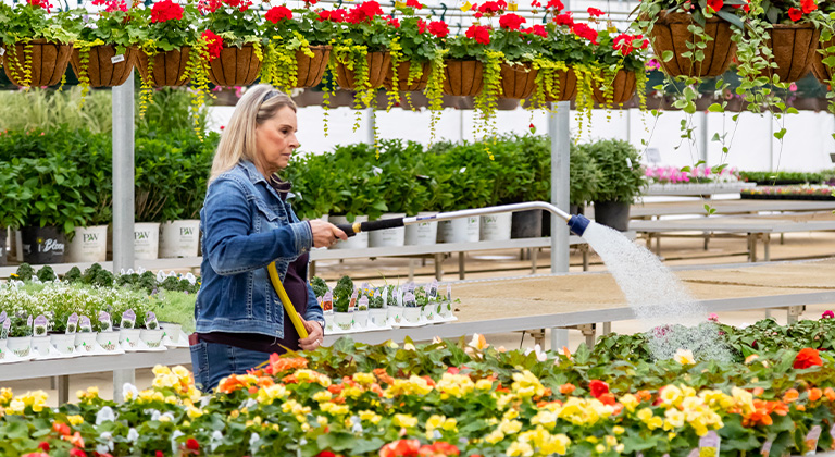 A woman watering plants in a greenhouse.